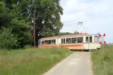 Hannover Aaßenstrecke mit Gelenkwagen 2 am Hohenfelser Str. (2016)