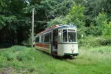Hannover Hohenfelser Wald mit Gelenkwagen 2 draußen Straßenbahn-Museum (2008)