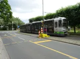 Hannover Straßenbahnlinie 11 mit Gelenkwagen 2554 am Congress Centrum (2020)