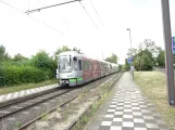 Hannover Straßenbahnlinie 2 mit Gelenkwagen 2035 am Rethen Steinfeld (2020)