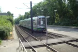 Hannover Straßenbahnlinie 7 mit Gelenkwagen 2548 auf Wallensteinstraße (2014)