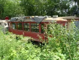 Hannover Triebwagen 223 im Snntg (2024)