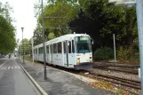 Heidelberg Straßenbahnlinie 24 mit Gelenkwagen 252 auf Kürfüsten Anlage (2009)