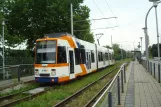 Heidelberg Straßenbahnlinie 26 mit Gelenkwagen 3269 am Messplatz (2014)