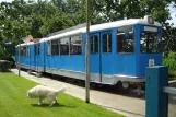 Hoogwoud Gelenkwagen 1208 auf der Seitenbahn bei Hotellet Controversy Tram Inn (2014)
