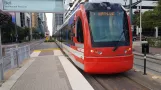 Houston Straßenbahnlinie Rot mit Niederflurgelenkwagen 205 am Bell (2018)