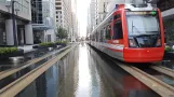 Houston Straßenbahnlinie Rot mit Niederflurgelenkwagen 305 auf Main Street (2018)