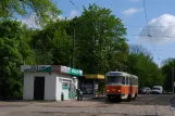 Kaliningrad Straßenbahnlinie 1 mit Triebwagen 505 am Stancyja Oktiabrskaja (2012)