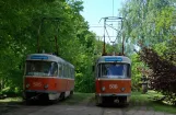 Kaliningrad Straßenbahnlinie 1 mit Triebwagen 505 am Stancyja Oktiabrskaja Vagonzavoda (2012)