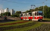 Kaliningrad Straßenbahnlinie 5 mit Gelenkwagen 431 auf Oktyabrskaya Ulitsa (2012)