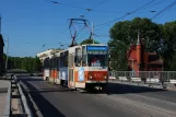 Kaliningrad Straßenbahnlinie 5 mit Gelenkwagen 432 auf Oktyabrskaya Ulitsa (2012)