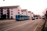 Kassel Straßenbahnlinie 6 mit Gelenkwagen 419 auf Weserstraße (1998)