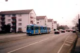 Kassel Straßenbahnlinie 6 mit Gelenkwagen 419nah Katzensprung / Universität (1998)