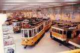 Kopenhagen Triebwagen 100 im Hovedstadsområdets Trafikselskabsmuseum (1984)