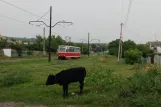 Kramatorsk Straßenbahnlinie 5 mit Triebwagen 0045 nahe bei Haharina St (2012)