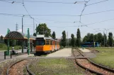 Mailand Straßenbahnlinie 24 mit Gelenkwagen 4952 am Vigentino (2009)