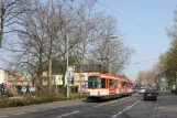 Mainz Straßenbahnlinie 51 mit Gelenkwagen 273 auf Finther Landstraße (2009)
