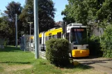 Mainz Straßenbahnlinie 52 mit Niederflurgelenkwagen 211 am Am Schinnergraben (2010)