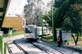 Mexiko-Stadt Straßenbahnlinie Tren Ligero (TL) mit Gelenkwagen 023 am Tasqueña (2003)