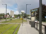 Mülhausen Straßenbahnlinie Tram 1 am Châtaignier (2019)
