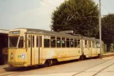 Neuchâtel Regionallinie 215 mit Gelenkwagen 592 am Cortaillod (1982)
