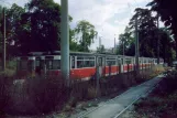 Nordhausen auf der Seitenbahn bei Parkallee (1990)