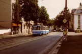 Plauen Straßenbahnlinie 1 mit Gelenkwagen 207 auf Pausaer Straße (1990)