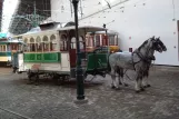 Porto Pferdestraßenbahnwagen 8 im Museu do Carro Eléctrico (2008)