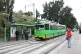 Posen Straßenbahnlinie 9 mit Gelenkwagen 606 am Wielkopolska (2009)