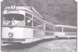 Postkarte: Bielefeld Straßenbahnlinie 1 am Senne (1965)