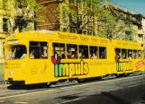 Postkarte: Braunschweig Straßenbahnlinie 4 mit Gelenkwagen 6264 am Stadthalle (1991)