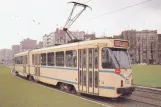 Postkarte: Brüssel Straßenbahnlinie 90 mit Gelenkwagen 7821 nahe bei Montgomery (1982)