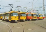 Postkarte: Dresden Triebwagen 224 228-5 am Depot Betriebshof Trachenberge (2003)