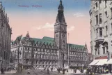 Postkarte: Hamburg auf Rathausmarkt (1895)
