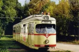 Postkarte: Hannover Hohenfelser Wald mit Gelenkwagen 2304 draußen Straßenbahn-Museum (2003)