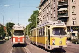Postkarte: Kopenhagen Straßenbahnlinie 1 mit Gelenkwagen 803 am Hellerup (1963-1965)