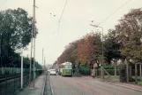 Postkarte: Malmö Straßenbahnlinie 1 mit Triebwagen 42 auf Lönngatan (1966)
