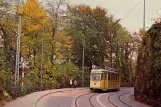 Postkarte: Neuchâtel Straßenbahnlinie 3 mit Triebwagen 81 auf Rue de l'Ecluse (1970)