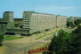 Postkarte: Stettin auf aleja Wyzwolenia (1980)