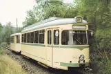 Postkarte: Wuppertal BMB mit Triebwagen 342 auf Bergischen Museumsbahnen (1995)