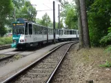 Potsdam Straßenbahnlinie 91 mit Gelenkwagen 149 "Szeged" am Bhf Rehbrücke (2023)