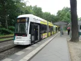 Potsdam Straßenbahnlinie 91 mit Niederflurgelenkwagen 427 "Sansibar" am Bhf Rehbrücke (2023)