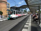 Potsdam Straßenbahnlinie 92 mit Gelenkwagen 156 am S Hauptbahnhof (2024)