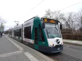 Potsdam Straßenbahnlinie 96 mit Niederflurgelenkwagen 407 "Basel" am Puschkinallee (2018)