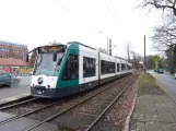 Potsdam Straßenbahnlinie 96 mit Niederflurgelenkwagen 409 "Melbourne" am Waldstr./Horstweg (2018)