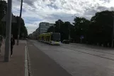 Riga Straßenbahnlinie 11 mit Niederflurgelenkwagen 57191 auf Aspazijas bulvāris, Vorderansicht (2018)
