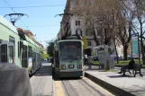Rom Straßenbahnlinie 19 mit Niederflurgelenkwagen 9001 am Risorgimento S.Pietro (2010)