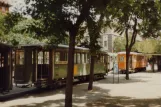 Rom Straßenbahnlinie 3 mit Triebwagen 2243 am Risorgimento S.Pietro (1982)