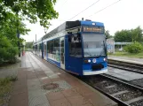 Rostock Straßenbahnlinie 3 mit Niederflurgelenkwagen 667 am Dierkower Allee (2023)