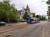 Rostock Straßenbahnlinie 6 mit Niederflurgelenkwagen 667 auf Rosa-Luxemburg-Str. (2010)